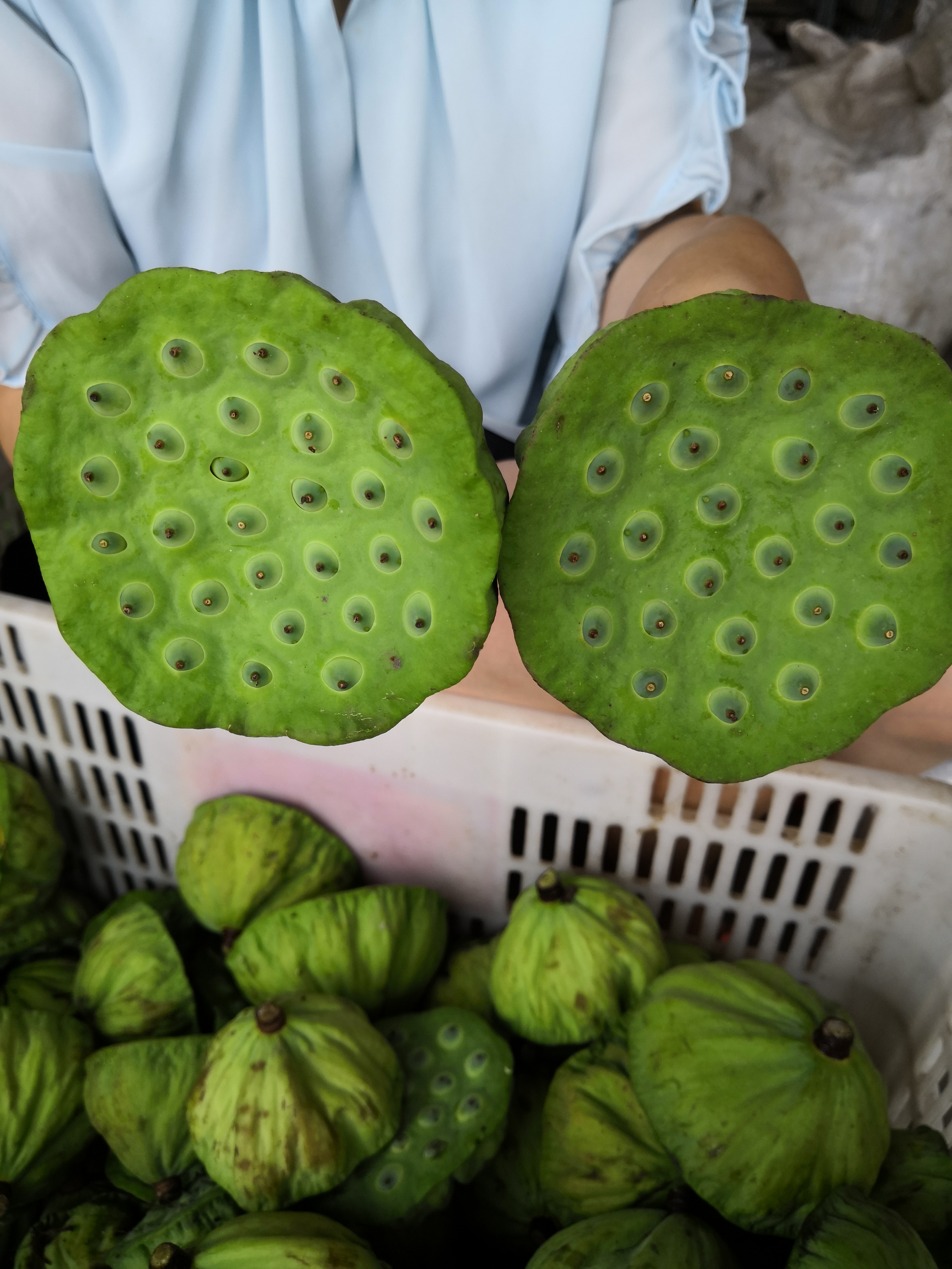 现摘新鲜嫩莲蓬嫩莲子米生吃水果莲20朵即食农家嫩甜莲子江西特产