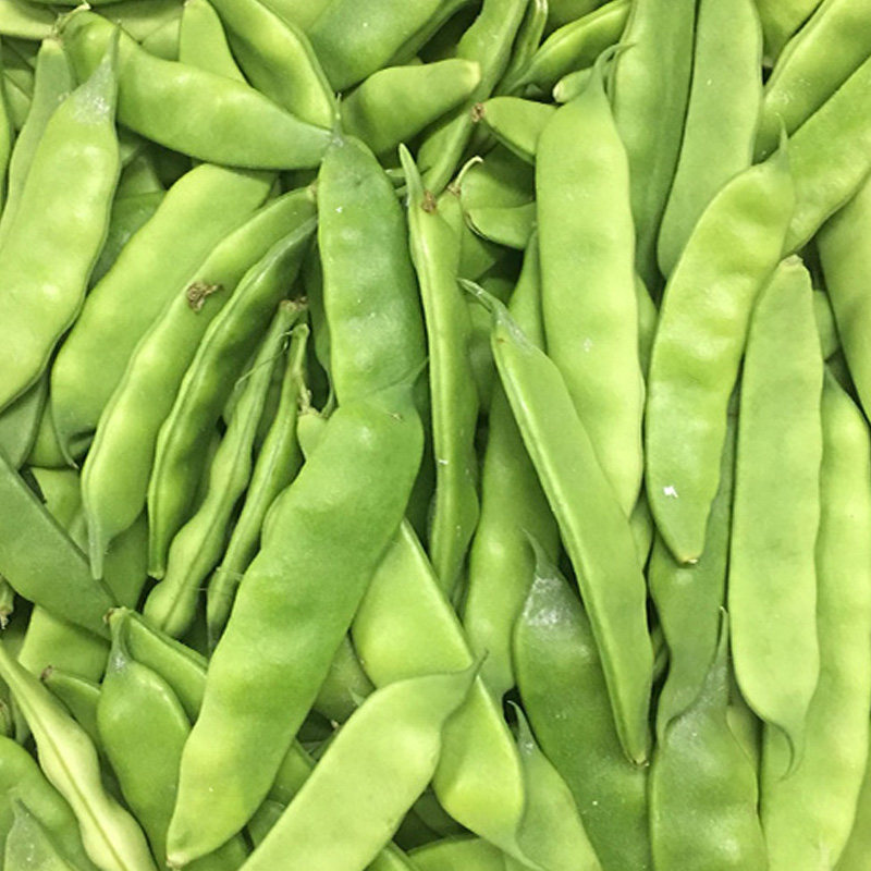 东北特产油豆角新鲜蔬菜油豆角炖排骨面豆角250克开锅烂四份包邮