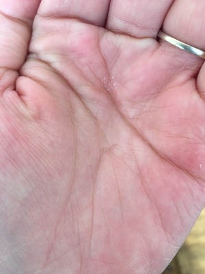 Re:说说真实感受兰芝水衡水乳护肤套装怎么样?入手使用效果兰芝水衡水乳护肤套装好 ..