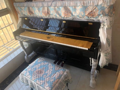 专业点评：博兰德钢琴怎么样？适合刚学琴的小朋友呢？