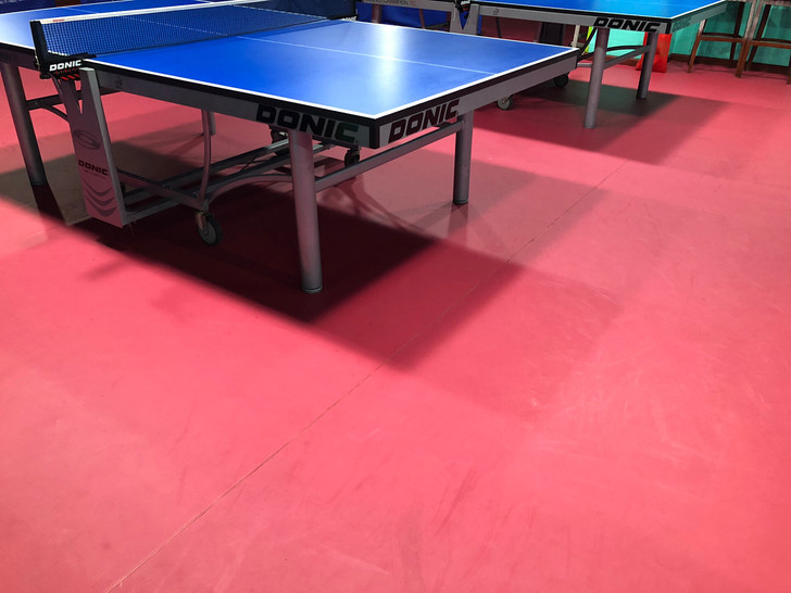地胶地毯乒乓球场地毯