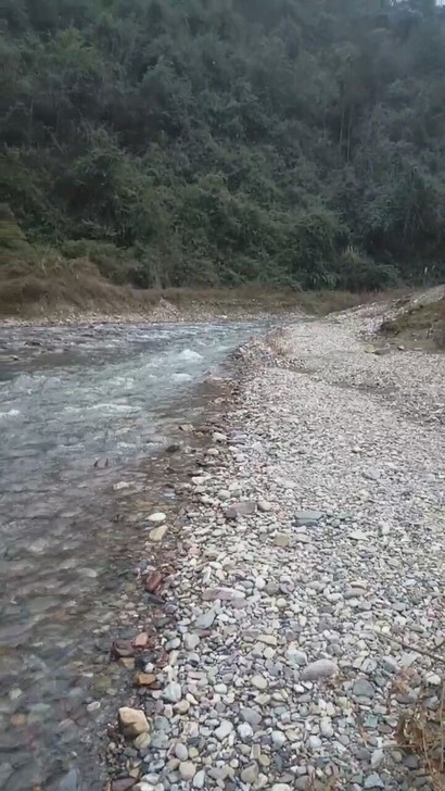 溪流石河沙砂石天然原生缸南美缸爬宠沙