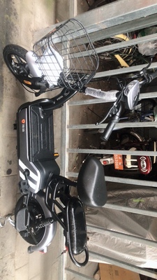 【对比】正步电动自行车好还是喜德盛好?优缺点有哪些？