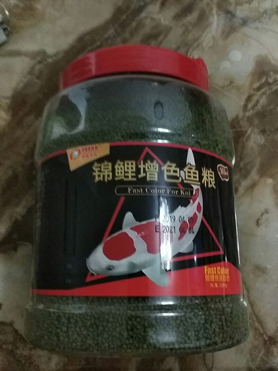 锦鲤鱼粮