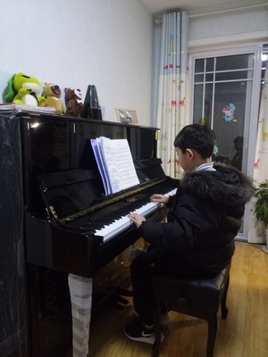 专业点评：博兰德钢琴怎么样？适合刚学琴的小朋友呢？