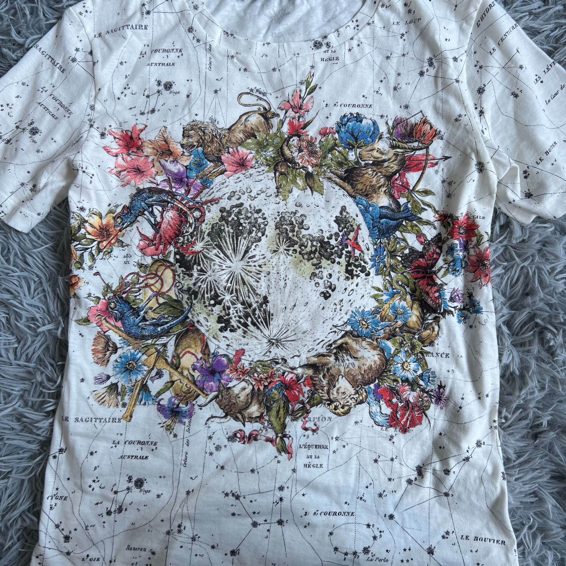 Dior Constellation Print Short-Sleeve T-Shirt — detail