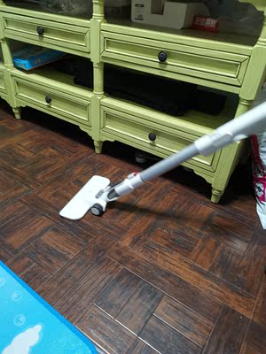 认真对比伊莱克斯和莱克吸尘器哪个好??质量优缺点解说