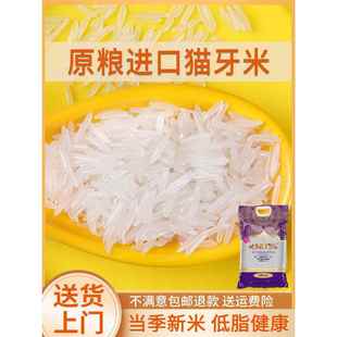猫牙米长粒香大米袋子10斤装2024年新米正宗泰国香米优质丝苗籼米
