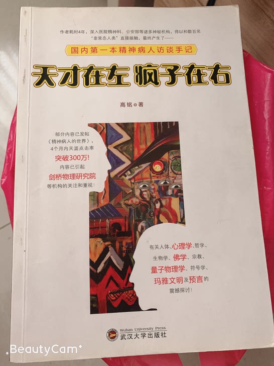 心理学书籍《天才在左疯子在右》