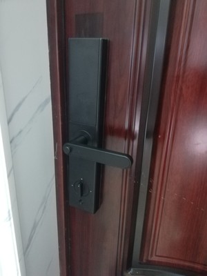 真实使用感受德施曼指纹锁T82、T11、T86哪个型号好,参数有什么区别吗?