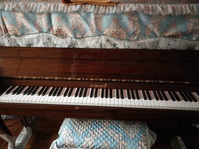 真实质量反馈Palatino帕拉天奴钢琴怎么样？评价好吗？