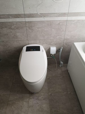 打听一下,toto智能马桶的哪个系列好?了解TOTO马桶的进