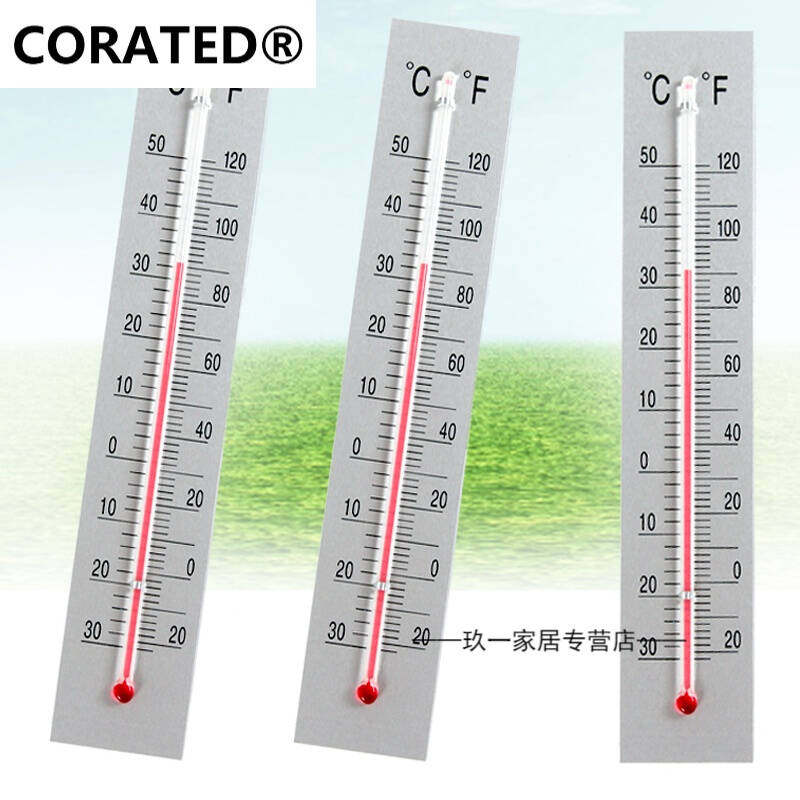 专业高精度厨房冰箱温度计家用医用冰柜冷库专用温度计可测室温