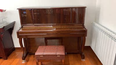 钢琴老师讲解下珠江艾茉森vp-119S怎么样？是个靠谱的品牌？