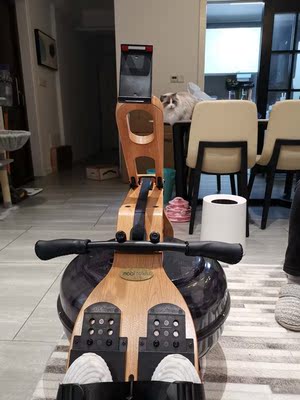 到底怎么样呢？若赛RUOSAI划船机怎么样？专业吗？