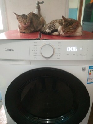 达人说小天鹅TG100V62ADS5怎么样,评测分析结果告知