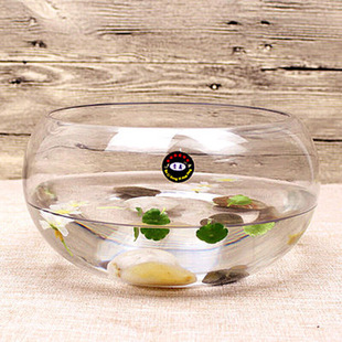 水培玻璃花瓶透明大号水仙盆碗莲盆睡莲花盆7乌鱼缸水养植物器皿