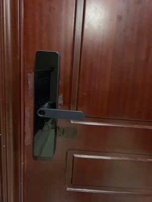 讨论【精心测评】德尔纹指纹锁怎么样，质量好不好呢？