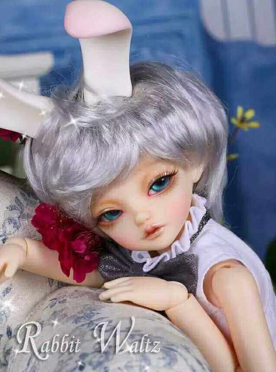 bjd6分pwpeakswoodswaltz白兔