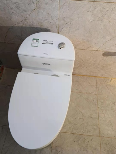 德国陶谷创意个性坐便器新款家用连体式卫浴马桶喷射虹吸式 60092