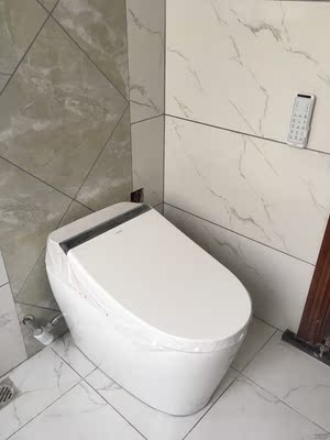 朋友打听一下，TOTO马桶卫洗丽组合机C300E1B怎么样?