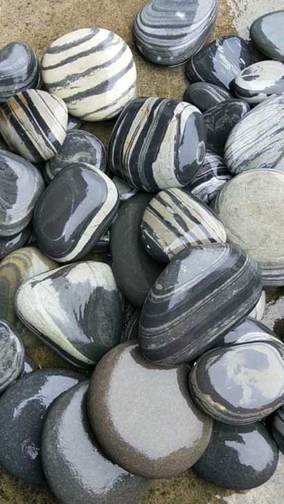 乌龟晒台石头造景奇石纯天然长江原石图片有价格