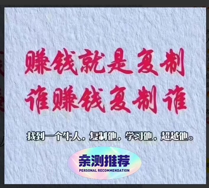 2025赚米项目点子库 信息差 冷门路子