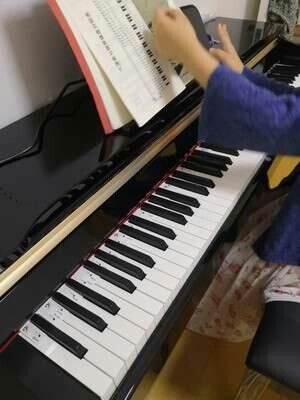 评测点评使用评测：海伦HAI LUN文德隆WL122钢琴怎么样，音质好不好？