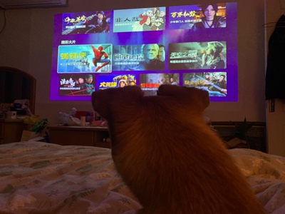 【使用1年反馈】微型投影仪微鲸M1怎么样？属于什么档次？