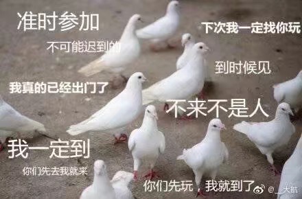 燕子家奶白格专人专拍