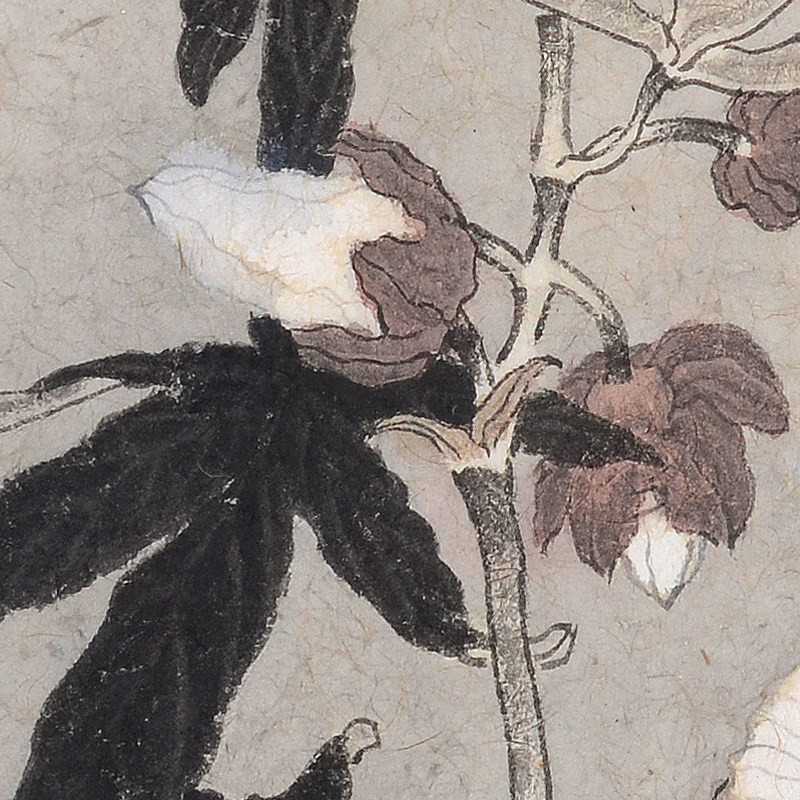 朱晨《秋葵》纸本设色作品荣宝斋画院聘画家 客厅 书房 挂画