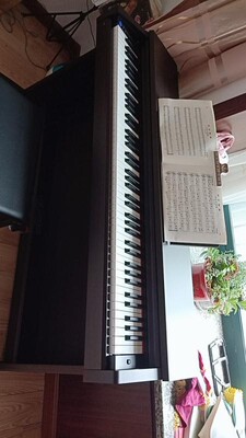 透露一下：卡西欧PX-770电钢琴怎么样？这款有什么缺点？