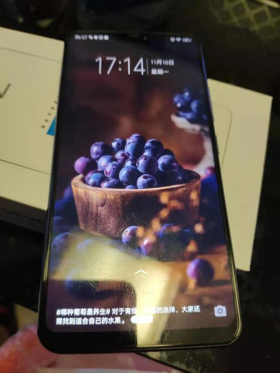 vivoz1特别极光版