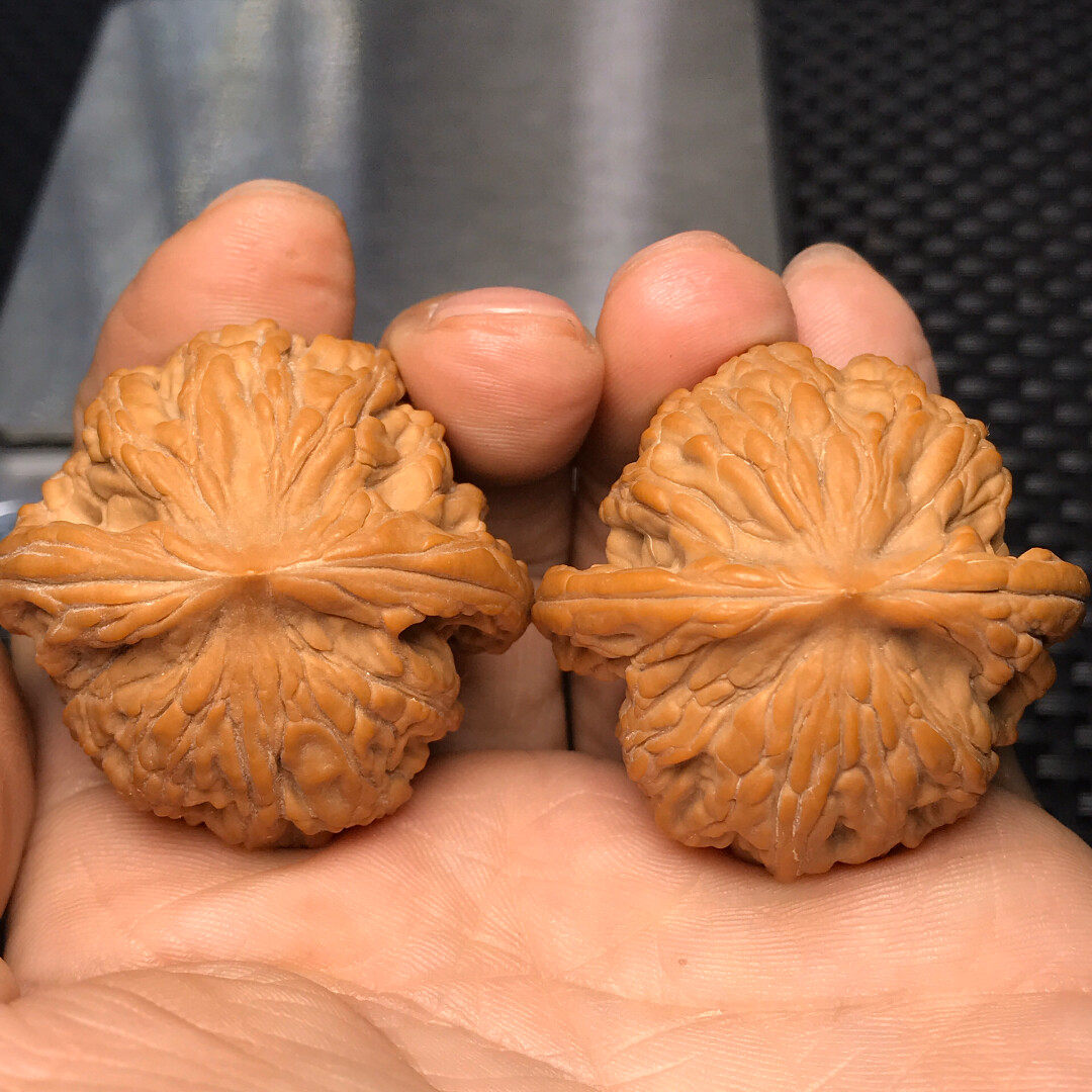 文玩核桃野生大龙纹狮子头老树原桩果肚大饱满皮质特红润