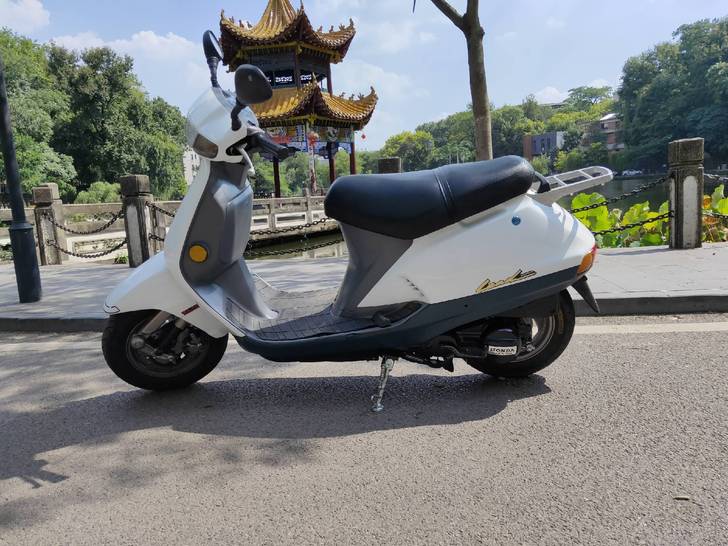 景德镇本田大路易90,细沙,大狐狸,龟dio.