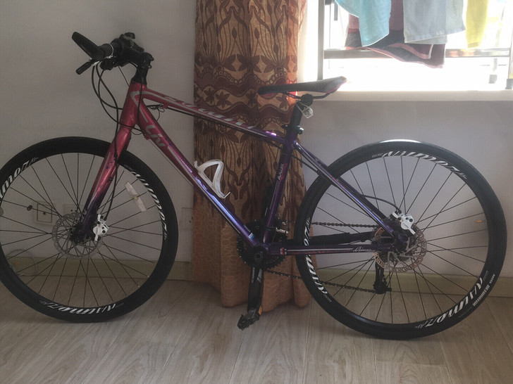 捷安特livaimez1女士变速自行车