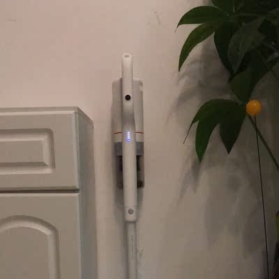 海尔和小狗吸尘器哪个吸力大，真的能除螨虫吗？