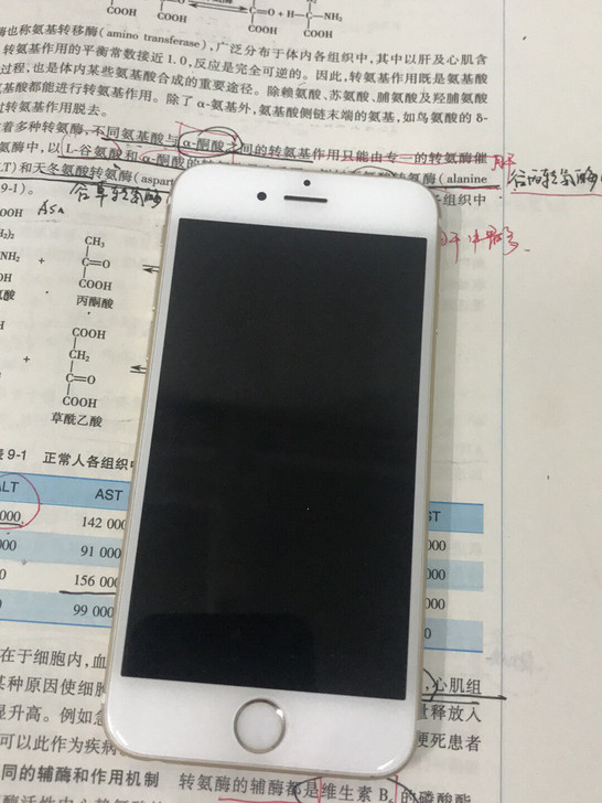 iPhone6s64g日版官换机换过一次电池