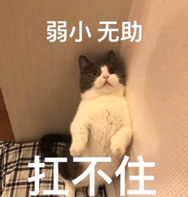 上手说说，迈锐博新中式洗脸盆浴室柜怎么样？质量如何