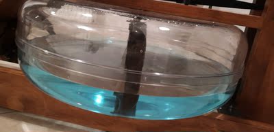 不吹不黑评价:昌隆划船机怎么样,达人解析好不好用?