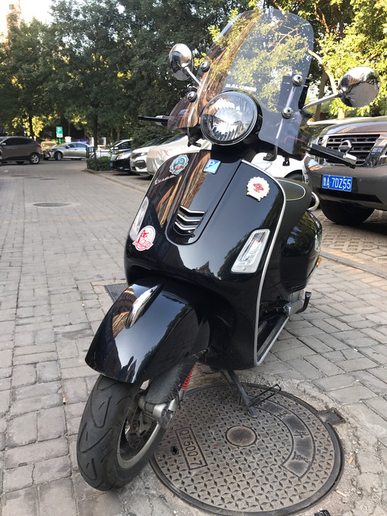 VESPAGTS300