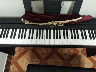 老师评测一下美得理电钢琴怎么样?使用三个月后悔了内幕?