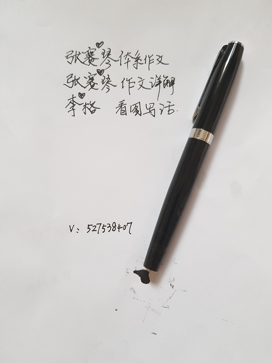 李，格，张赛，琴，作文，看图写话，专用，钢笔办公用品，