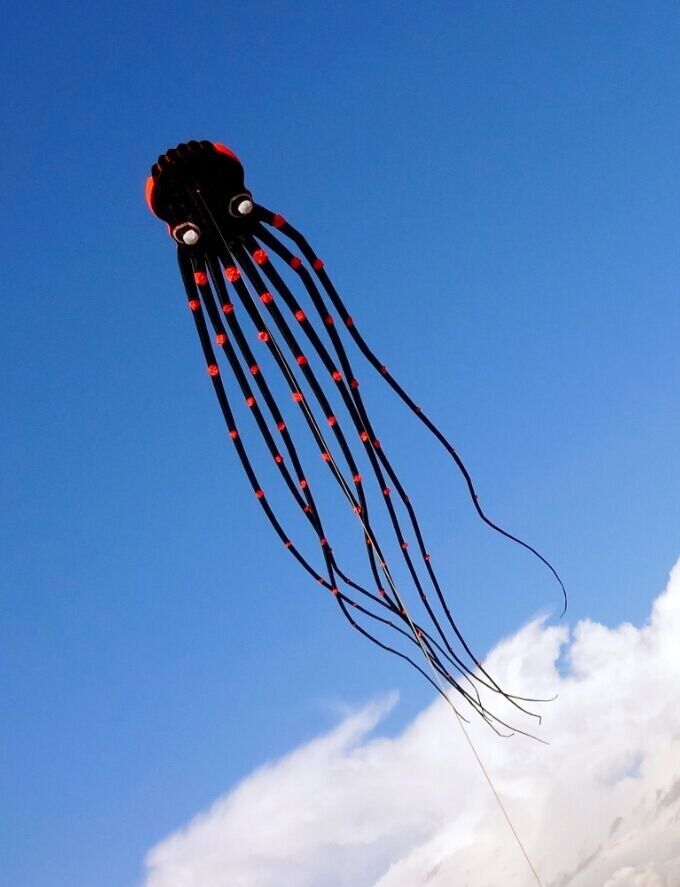 风筝保罗15米23米30米鱿鱼章鱼包装纸待合并