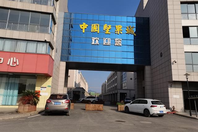 位于杭州市临安区龙岗镇临安坚果城31幢201-210室的不动产