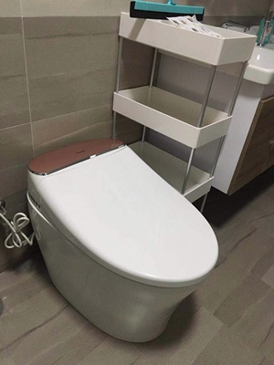 真实使用感受卡罗纳马桶是几线品牌，质量怎么样，用着好不好用呢？