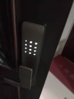 目前看来【老品牌】樱花指纹锁怎么样,好用吗?这个是不是品牌?