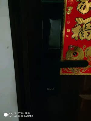 说说【口碑体验】海康威视萤石指纹锁怎么样，方便实用吗？