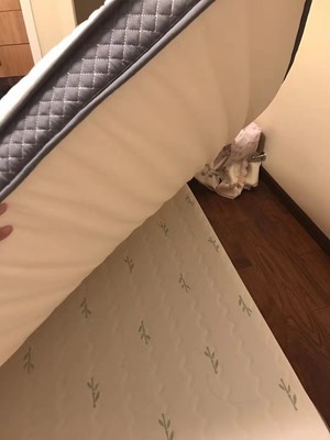 揭秘反馈ROZO天然乳胶床垫怎么样？质量爆料是很差吗？