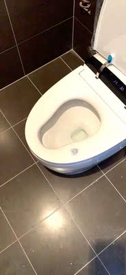 良心点评:toto智能马桶哪款好用,性价比高?新房装修必备